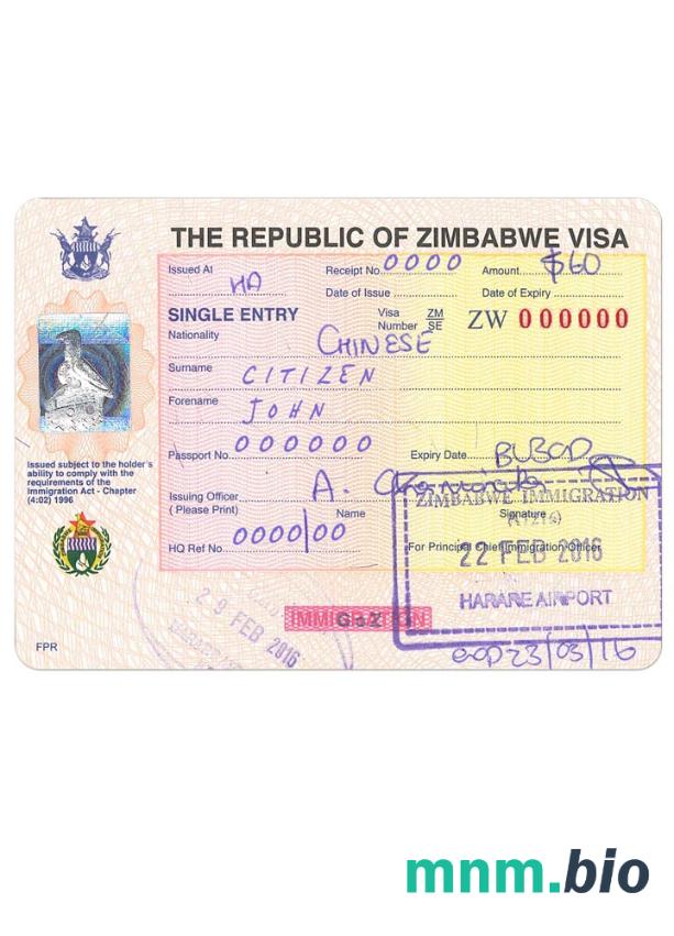 Przykład wizy Zimbabwe W PSD
